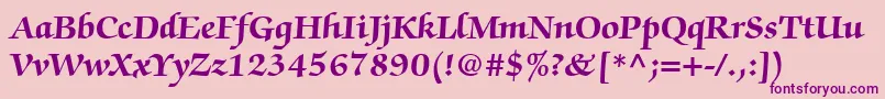 ChanceryScriptBlackSsiBold Font – Purple Fonts on Pink Background