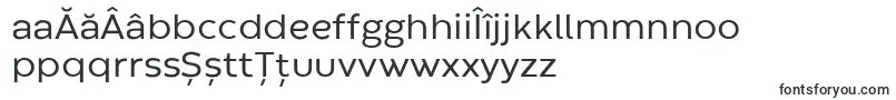 CodecWarmRegularTrial Font – Romanian Fonts