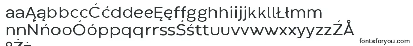 CodecWarmRegularTrial Font – Polish Fonts