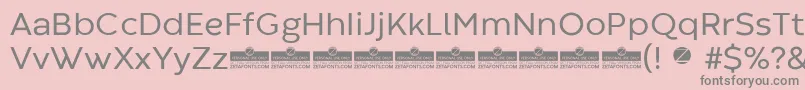 CodecWarmRegularTrial Font – Gray Fonts on Pink Background