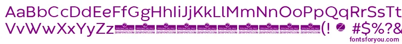 CodecWarmRegularTrial Font – Purple Fonts