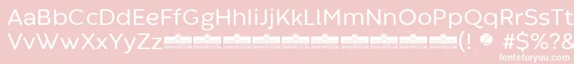 CodecWarmRegularTrial Font – White Fonts on Pink Background