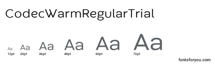 CodecWarmRegularTrial Font Sizes