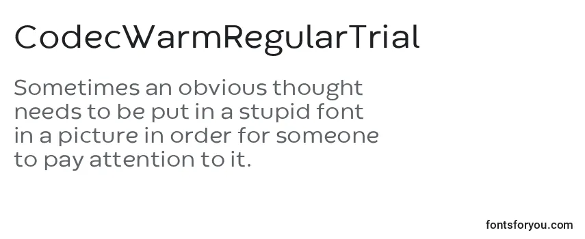 Review of the CodecWarmRegularTrial Font