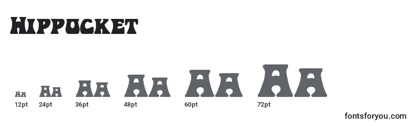 Hippocket Font Sizes