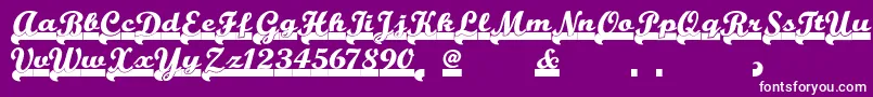 Team Font – White Fonts on Purple Background