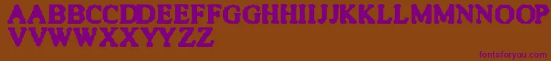 Quite Font – Purple Fonts on Brown Background