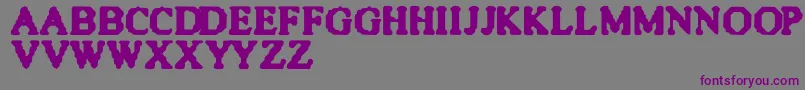 Quite Font – Purple Fonts on Gray Background
