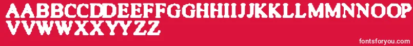 Quite Font – White Fonts on Red Background