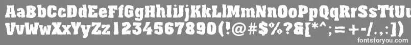AAssuanbrkBold Font – White Fonts on Gray Background