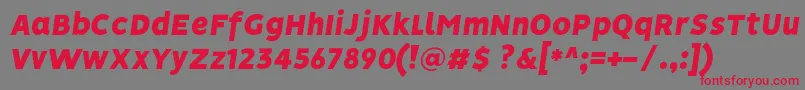 Czcionka VisionBlackItalic – czerwone czcionki na szarym tle