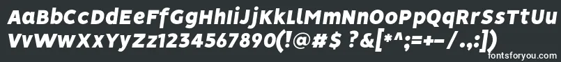 フォントVisionBlackItalic – 白い文字