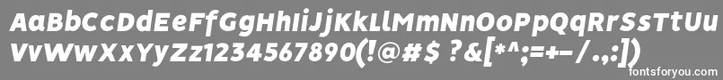 フォントVisionBlackItalic – 灰色の背景に白い文字