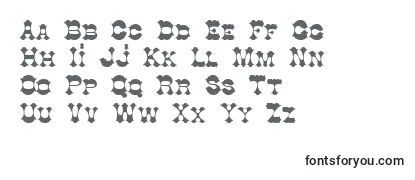 Обзор шрифта Cottondi