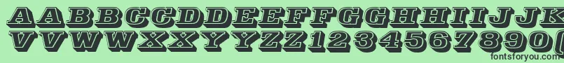 Decorated035Bt Font – Black Fonts on Green Background