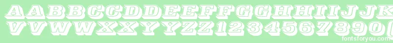 Decorated035Bt Font – White Fonts on Green Background