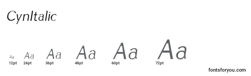 Размеры шрифта CynItalic