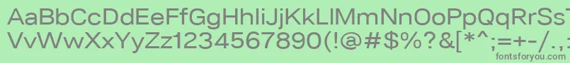 Шрифт Lunchtype24RegularExpanded – серые шрифты на зелёном фоне