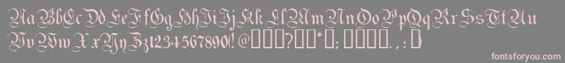 Magdeburg Font – Pink Fonts on Gray Background