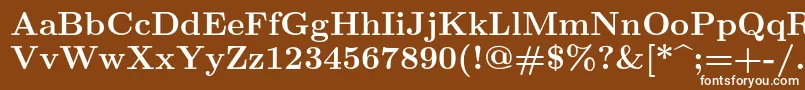 Lmroman10Bold Font – White Fonts on Brown Background