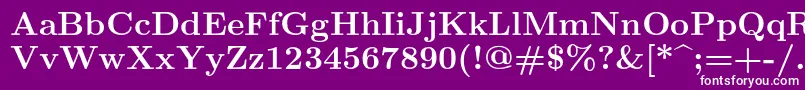 En savoir plus sur la police Lmroman10Bold Police Lmroman10Bold – polices blanches sur fond violet
