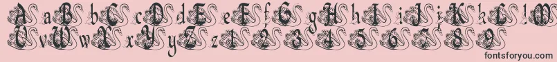 BjfUglyDuckling-Schriftart – Schwarze Schriften auf rosa Hintergrund