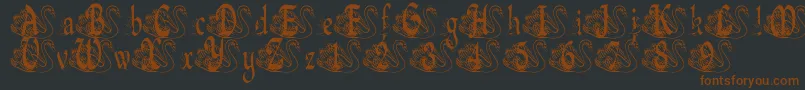 BjfUglyDuckling-fontti – ruskeat fontit mustalla taustalla