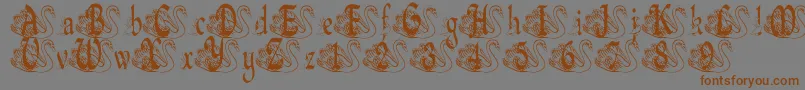 フォントBjfUglyDuckling – 茶色の文字が灰色の背景にあります。