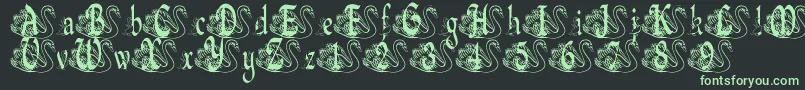 BjfUglyDuckling Font – Green Fonts on Black Background