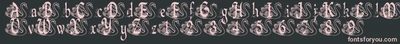 BjfUglyDuckling Font – Pink Fonts on Black Background