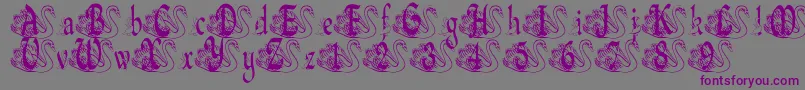 BjfUglyDuckling Font – Purple Fonts on Gray Background