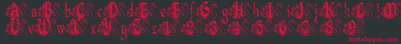 BjfUglyDuckling Font – Red Fonts on Black Background