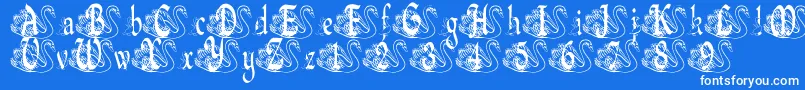 BjfUglyDuckling Font – White Fonts on Blue Background