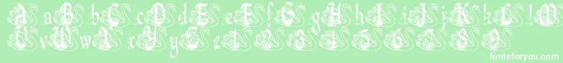 BjfUglyDuckling Font – White Fonts on Green Background