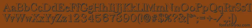 BaskervilleshadowRegular Font – Black Fonts on Brown Background