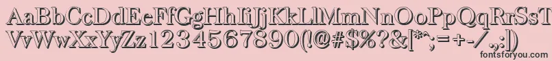 BaskervilleshadowRegular Font – Black Fonts on Pink Background