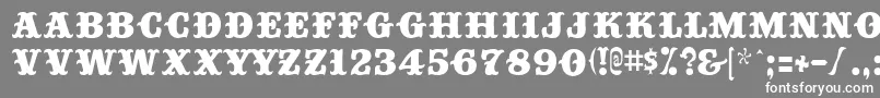 フォントBig Top – 灰色の背景に白い文字