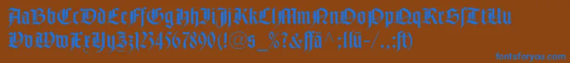 NotreDameLtRomanDfr Font – Blue Fonts on Brown Background