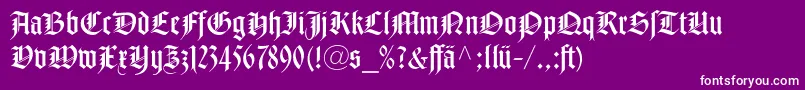 NotreDameLtRomanDfr Font – White Fonts on Purple Background