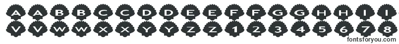 Asshells Font – Fonts for Google Chrome