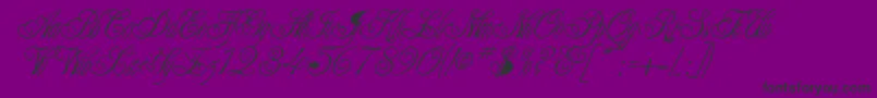 CollarRegular-Schriftart – Schwarze Schriften auf violettem Hintergrund