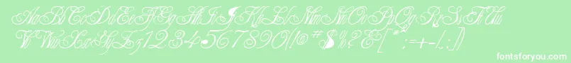 CollarRegular Font – White Fonts on Green Background