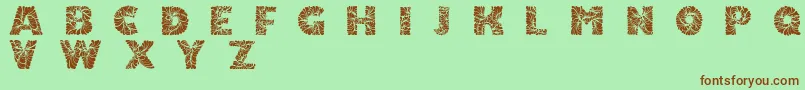 Doodleafs Font – Brown Fonts on Green Background