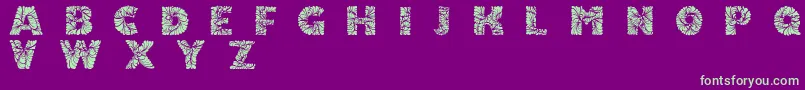 Doodleafs Font – Green Fonts on Purple Background