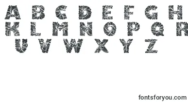 Doodleafs font