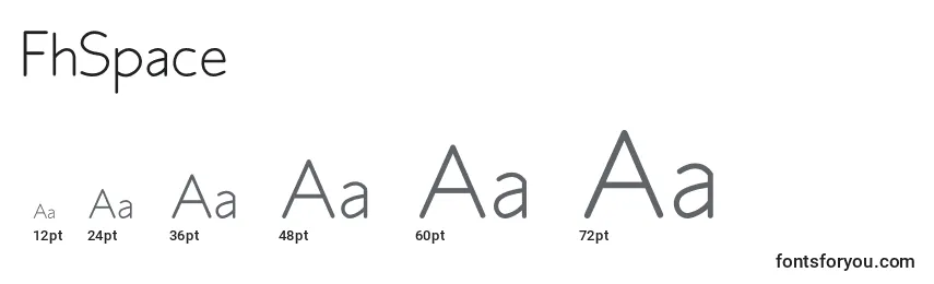 FhSpace Font Sizes