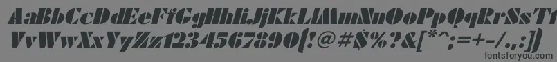 FuturaeugeniaItalic Font – Black Fonts on Gray Background
