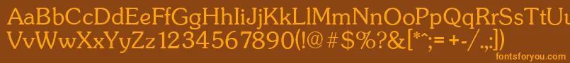 SunsetserialLightRegular Font – Orange Fonts on Brown Background