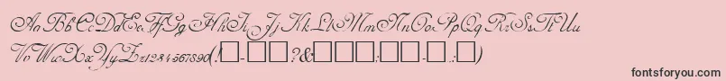 AdolpheRegular Font – Black Fonts on Pink Background