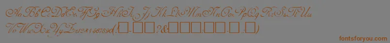 AdolpheRegular Font – Brown Fonts on Gray Background